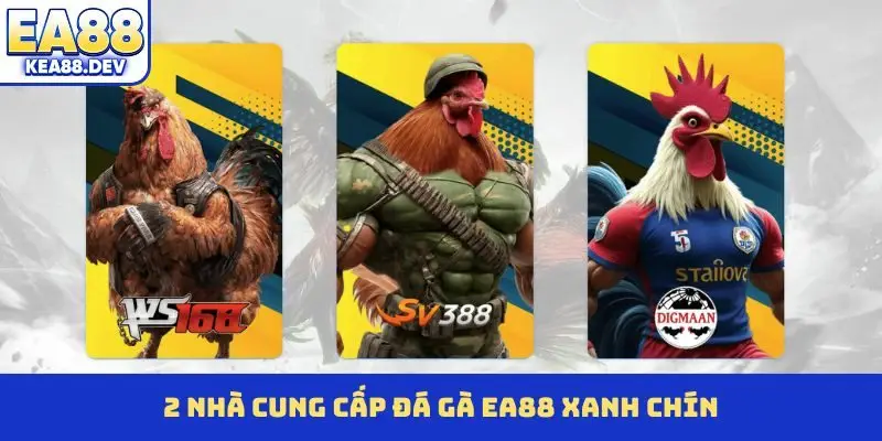 2 nhà cung cấp đá gà EA88 xanh chín
