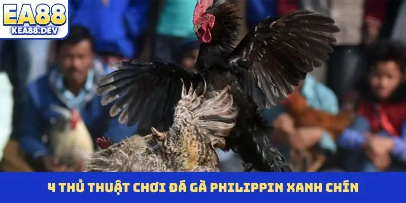 4 thủ thuật chơi đá gà Philippin xanh chín