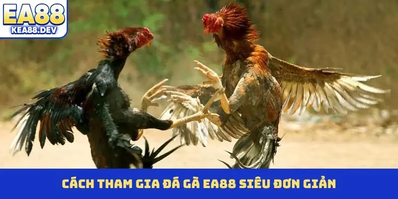 Cách tham gia đá gà EA88 siêu đơn giản