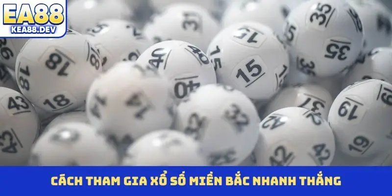 Cách tham gia xổ số Miền Bắc nhanh thắng