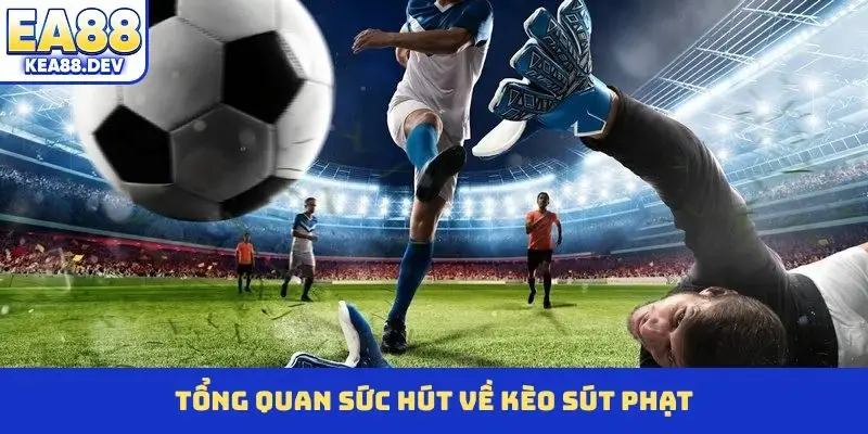 Tổng quan sức hút về kèo sút phạt